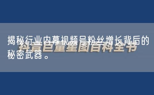 揭秘行业内幕视频号粉丝增长背后的秘密武器。